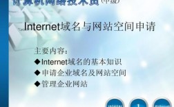 网上办域名（internet网上代表中国域名）