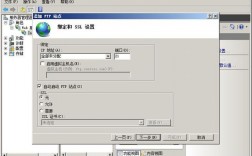 ftp virtual怎么配置，iis7 ftp