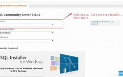 win10怎么查看mysql服务（windows查看mysql服务）