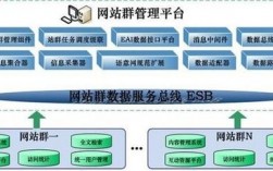 站群系统是什么，站群seo怎么做