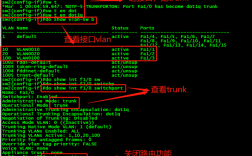 交换机上好多ip冲突怎么回事，linux 软件版本