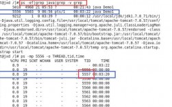 如何使用Linux命令行进行网络故障排除（linux网络故障排查命令）