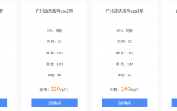 深圳vps租用价格是多少（新新是什么意思)