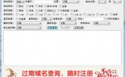 域名抢注机（域名抢注工具）