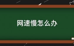 在国外网慢怎么办（在国外网速太慢怎么办）