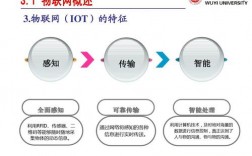 IoT安全问题研究，如何保证物联网安全？（lot安全大师是检测什么的)