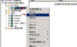 IIS中自带的ftp怎么用（iis ftp 端口）