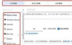 服务器公共镜像选择（服务器镜像有什么用）