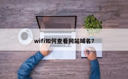 fi域名（如何查看wifi域名）