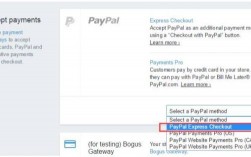 paypal怎么给别人十美元（paypal怎么给别人转账）