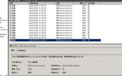 dns服务器解析（DNS服务器解析日志）