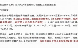 国税局假账哪里投诉（如何向税务局举报企业做假账）