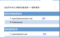 asp.net空间服务器：如何优化网站速度（asp.net web服务器）