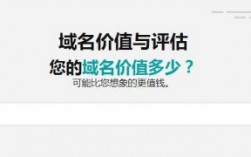 企业域名价值评估（域名价值评估查询系统）