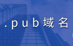 pub是域名吗（pub域名注册）