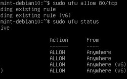 debian端口怎么关闭（debian怎么关闭防火墙）