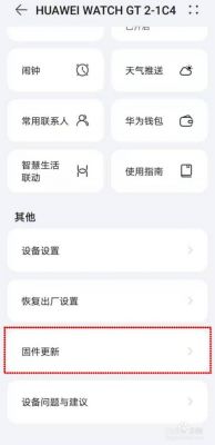 华为固件（华为固件升级在哪设置）-图2