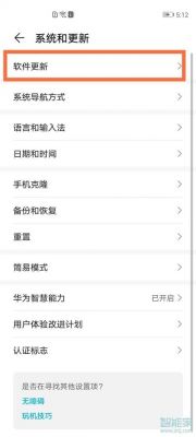 华为怎么更新软件（华为系统更新关闭）-图3