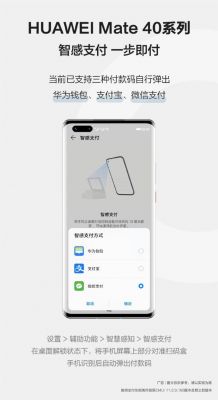 华为pay安全吗（华为Pay安全吗）-图2