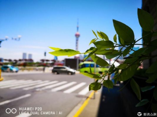 华为抓拍效果（华为手机相机抓拍模式在哪）-图3