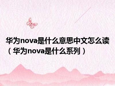 华为nova怎么念（nova翻译成中文）-图2