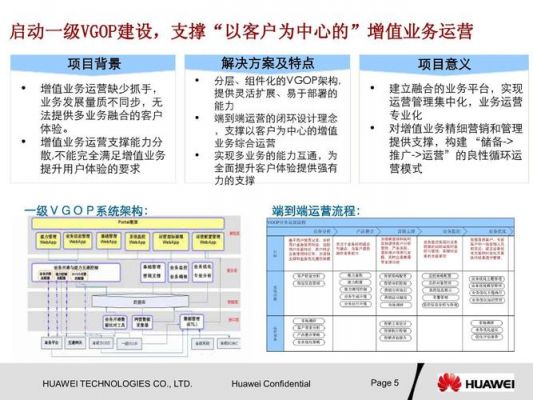 华为电子商务（华为电子商务发展与运营状况）-图2