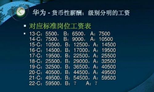 华为制式（华为的所有制性质是什么）-图2