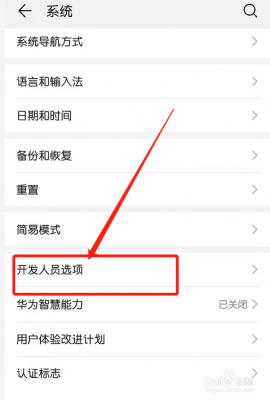 华为畅享5开发者选项（华为畅享开发者选项如何设置）-图2