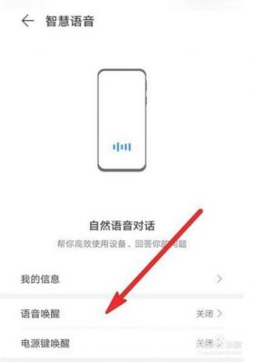 华为音箱（华为音箱怎么唤醒）-图1