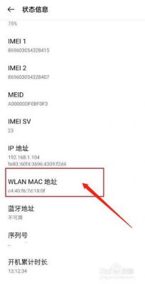 华为mac地址在哪（华为设备mac地址格式）-图2