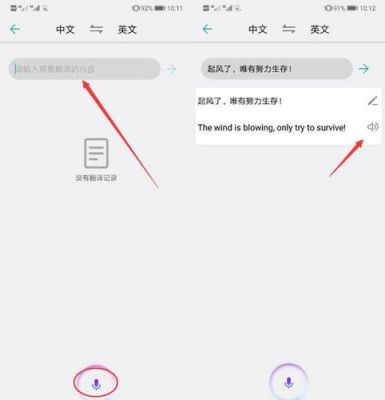 华为手机翻译功能（华为手机翻译功能找不到了）-图1