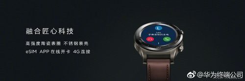 华为watch2软件（华为watch2pro软件）-图2