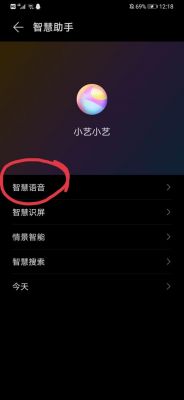 华为语音助手apk（华为语音助手apk提取下载）-图3