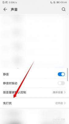 华为喇叭没声音怎么办（华为喇叭没有声音是怎么回事）-图3