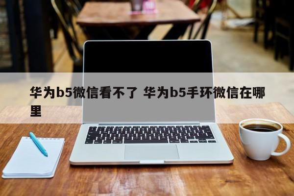 华为b2能接收微信吗（华为b5可以接收微信信息吗）-图1