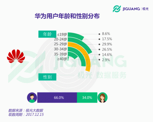 华为消费人群（华为消费人群有哪些）-图2