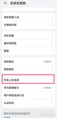 华为怎么退出开发者模式（一加手机开发者模式怎么关闭）-图3
