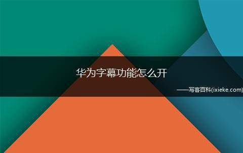 华为字幕功能怎么用（华为手机字幕功能使用教程）-图2