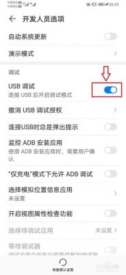 华为usb调试在哪里（华为usb调试在哪里没用）-图3