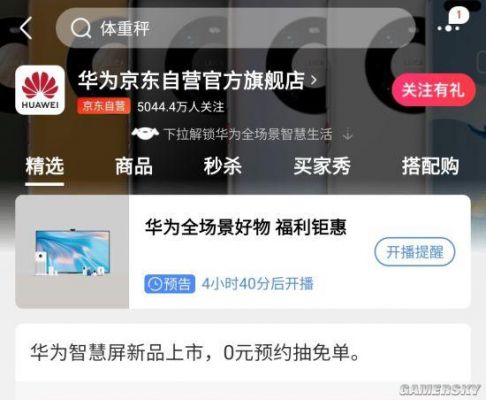 华为京东自营（华为京东自营旗舰店和京东手机自营旗舰店）-图1