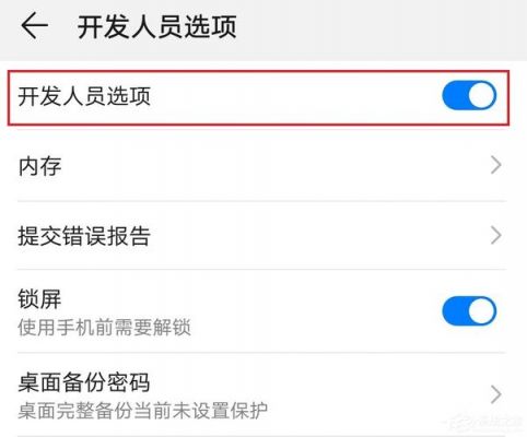 华为开发人员选项在哪（华为开发人员选项在哪里设置?）-图2