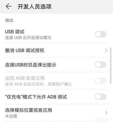 华为开发人员选项在哪（华为开发人员选项在哪里设置?）-图3