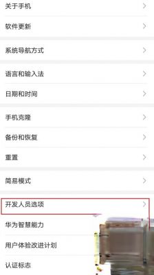 华为开发人员选项在哪（华为开发人员选项在哪里设置?）-图1