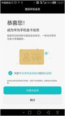 华为vip（华为vip等级）-图1