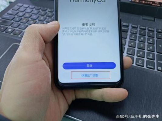 华为手机出现华为（华为手机出现华为系统恢复怎么办）-图3