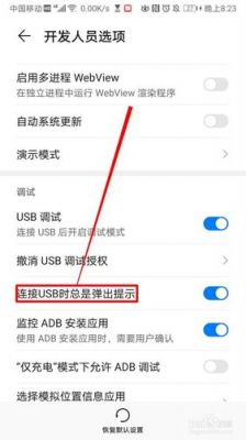 华为手机怎么连接usb（华为手机怎么连接usb听歌）-图2