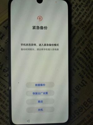 华为手机助手无法备份（华为手机助手无法备份到电脑）-图1