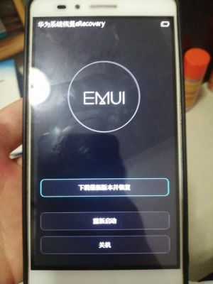 华为系统恢复（华为系统恢复界面怎么退出）-图3