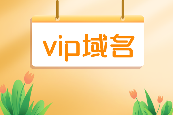 vip域名价值（vip域名好吗）-图2