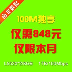 服务器100m独享（百兆独享服务器租用）-图1